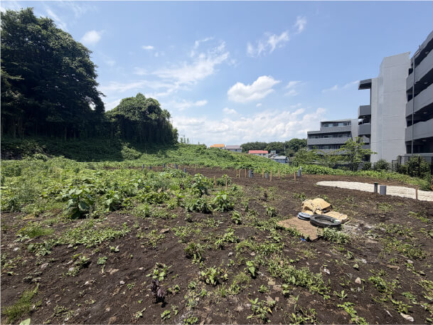 現地画像