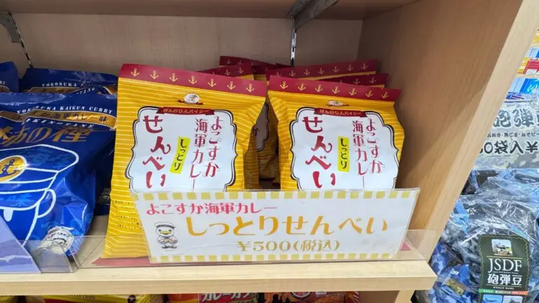 ヤチヨ:よこすか海軍カレーしっとりせんべい